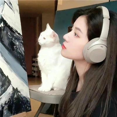 傻儿师长