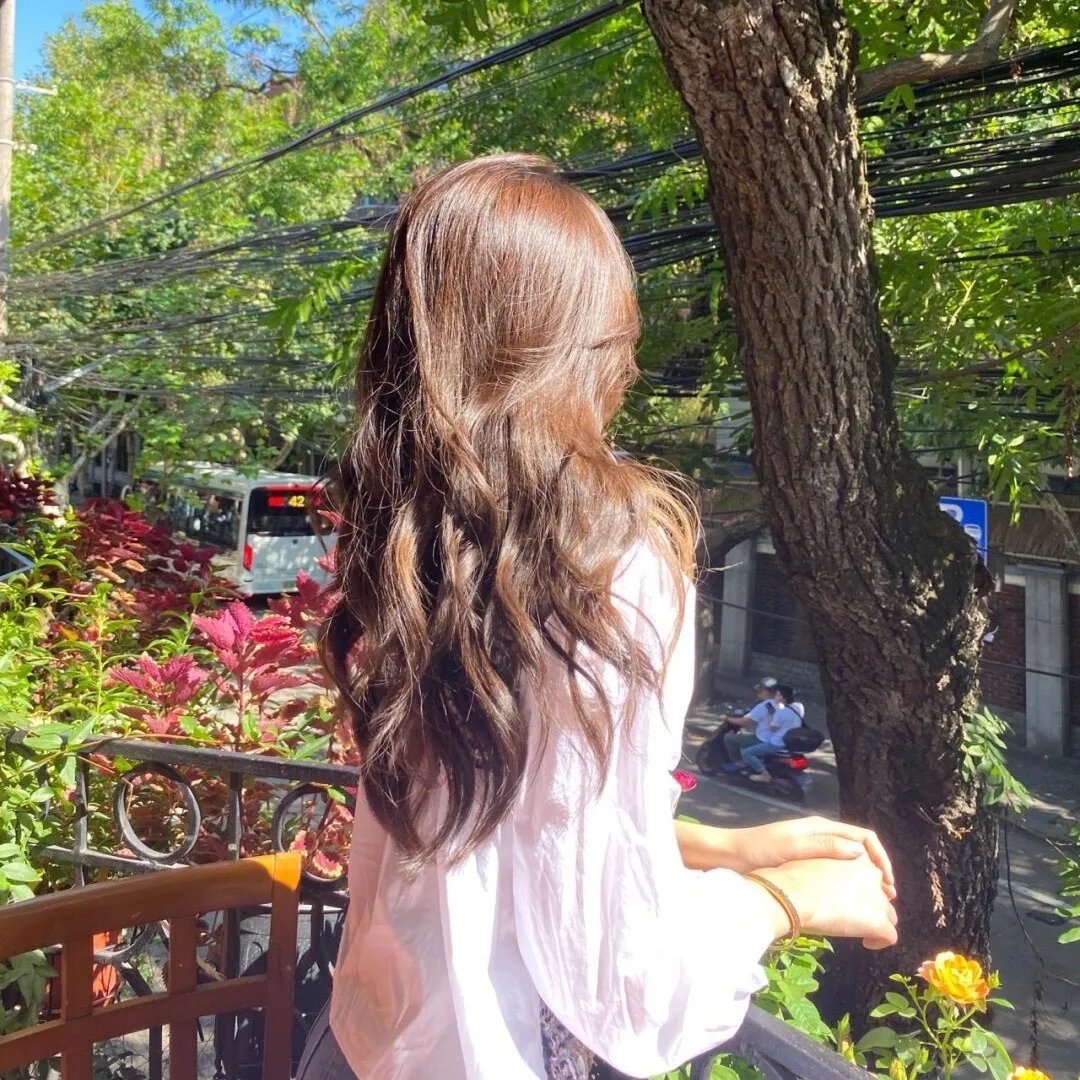 蜘蛛的策略